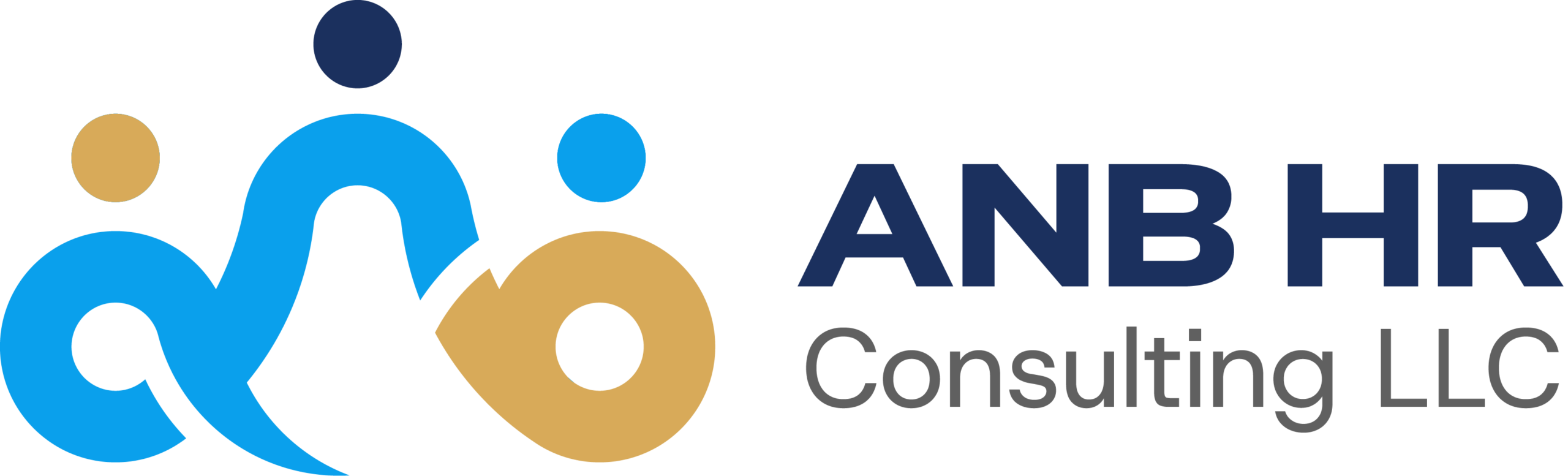 anbhrconsulting.com